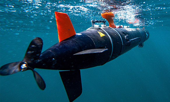 В России создали подводный дрон «Скат»