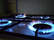 В 2022 году в Татарстане введут малотоннажное производство СПГ