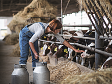 Сухое молоко из Удмуртии будут поставлять в Таджикистан