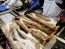 Живой коронавирус найден на замороженных продуктах