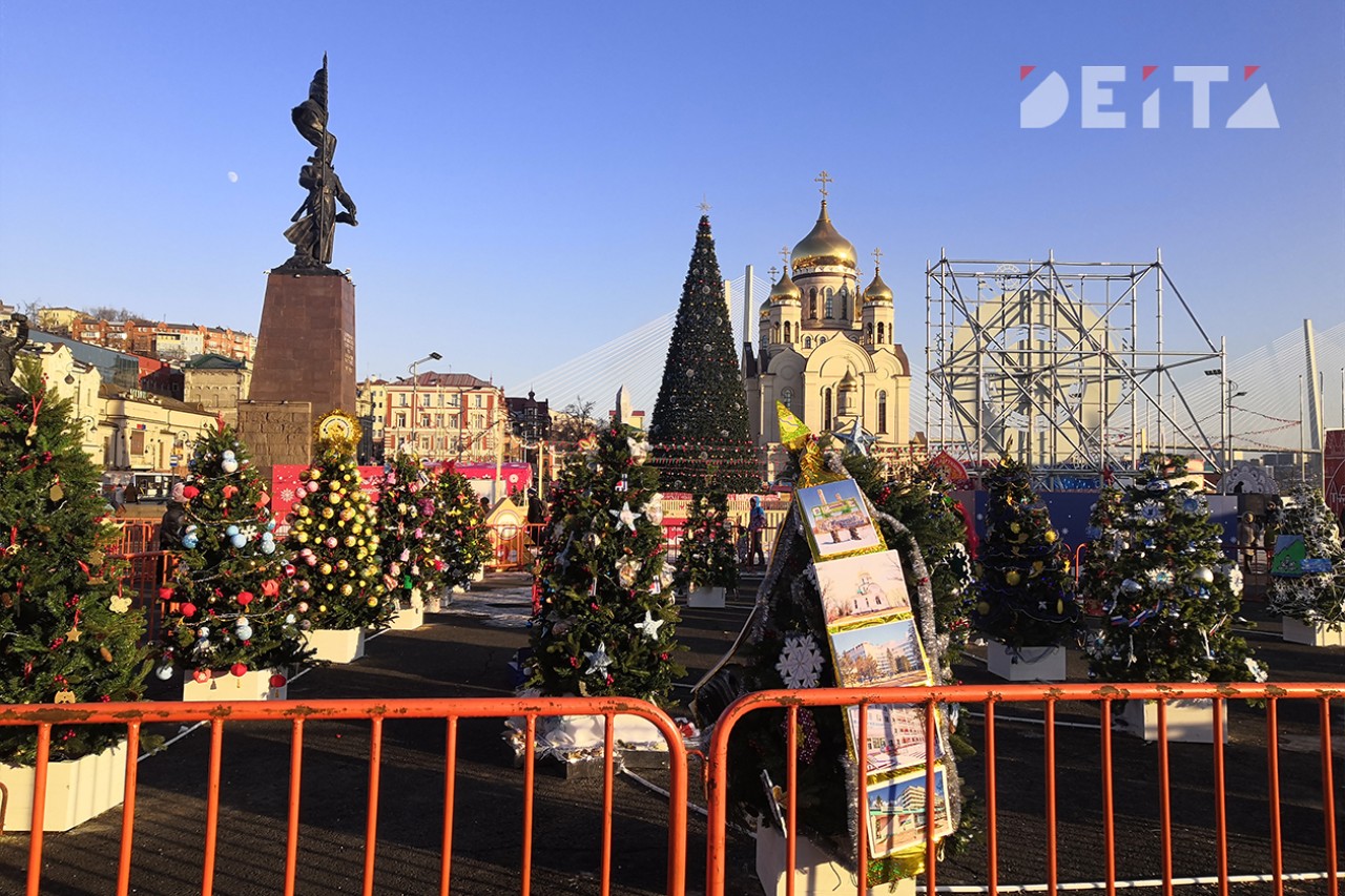 Ни снега, ни украшений: подготовкой города к Новому году недовольны владивостокцы