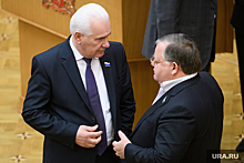 Спикер свердловского парламента добавила полномочий двум замам