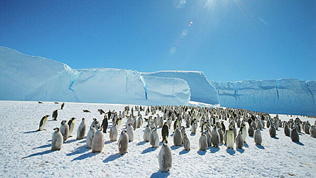 Метеоролог рассказал об изменении температуры в Антарктиде