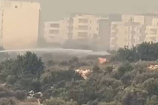 Российско-турецкую АЭС окружили лесные пожары