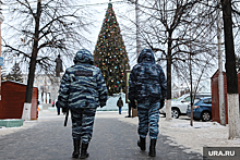 Челябинские полицейские записали клип к Новому году