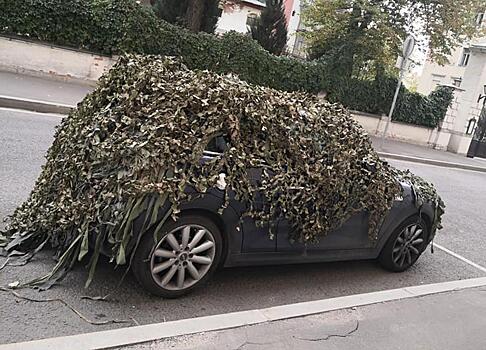 Москвичи пошли на ухищрения, чтобы не платить за парковку