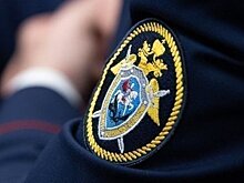 Главе ведомства будет доложено о расследовании обстоятельств применения насилия в отношении сотрудника полиции в Московской области