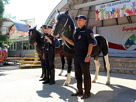 Саратовских полицейских обвинили в том, что они морят лошадей голодом