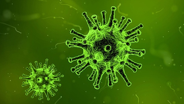 Обманный манёвр: учёные выяснили, как вирусам удаётся перехитрить иммунную систему