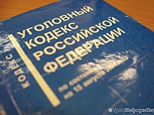 На Урале будут судить водителя, который спрятал тело сбитого пешехода в лесу