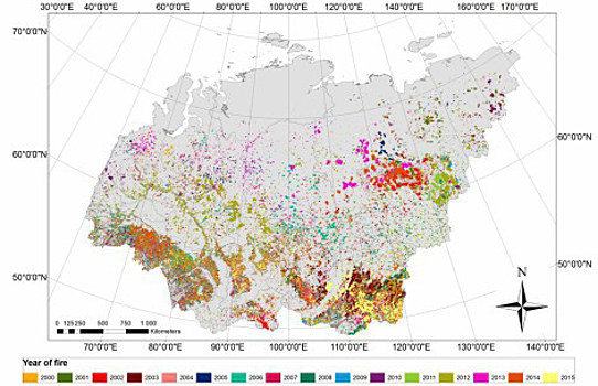 Спутниковые снимки помогут красноярским ученым узнать о проблемах восстановления лесов