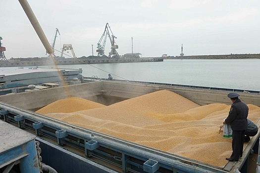 В Госдуме заговорили об отмене экспортных пошлин на зерно