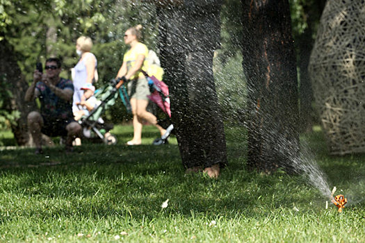 Август-2025 начнется с аномальной жары в Новосибирске