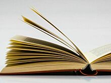Цены на образовательные услуги за сентябрь в РФ выросли на 6%