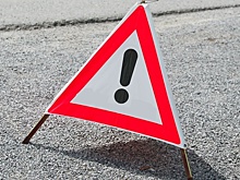 Пьяный водитель протаранил дерево в Городецком районе