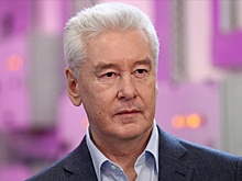 Собянин рассказал о способах голосования на выборах Президента РФ с 15 по 17 марта 2024 года