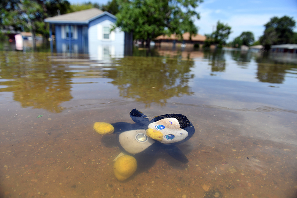 Ученые предупредили о главной катастрофе столетия