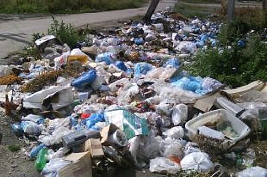 В Красноярске мусорный передел?