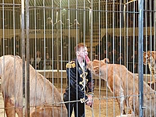 Как единственный в мире безногий дрессировщик покорил львиц