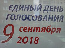 Саратовчанка отказалась голосовать из-за досмотра сумочки мужчиной-полицейским