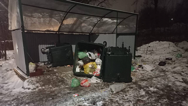 В Заводском районе хулиганы опрокинули три контейнера с мусором