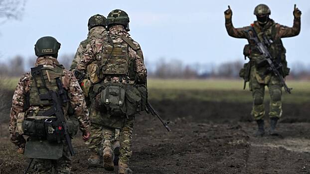 Варяжские гости и рейтары царя: история военной службы в России