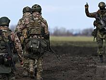 Варяжские гости и рейтары царя: история военной службы в России