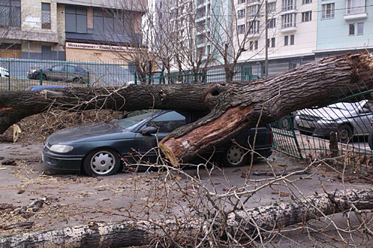 В Москве продлили штормовое предупреждение