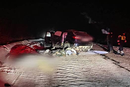 Экс-мэр попал в смертельное ДТП ночью на заснеженной трассе