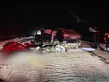 Экс-мэр попал в смертельное ДТП ночью на заснеженной трассе