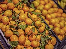 Более тонны цитрусовых собрали москвичи в рамках акции «Подвешенный мандарин»