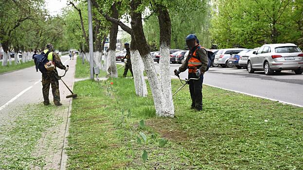 Второй этап покоса городских газонов планируется завершить в преддверии Дня города Вологды