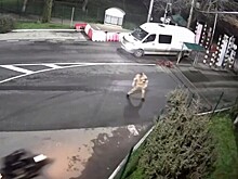 «Охота на охотников»: в трёх городах Украины  жестоко расправились с сотрудниками ТЦК. Подробности