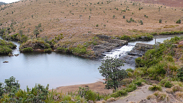 Заглавное изображение Национальный парк Хортон-Плейнс