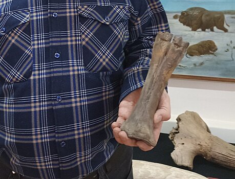 Мужчина нашел на своем огороде кость древнего зубра