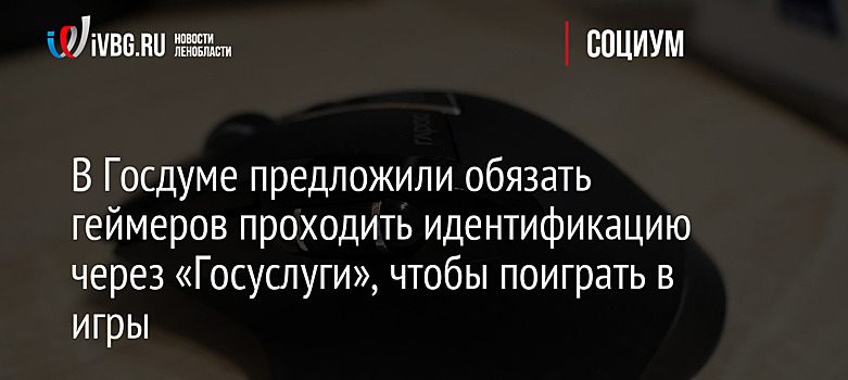 В Госдуме предложили обязать геймеров проходить идентификацию через «Госуслуги», чтобы поиграть в игры
