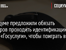 В Госдуме предложили обязать геймеров проходить идентификацию через «Госуслуги», чтобы поиграть в игры