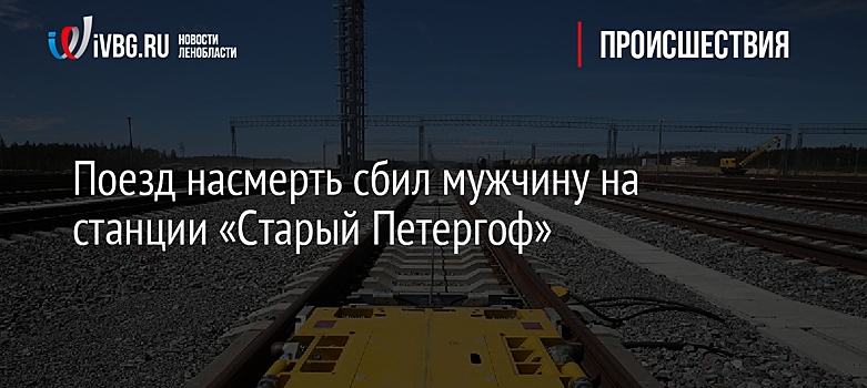 Поезд насмерть сбил мужчину на станции «Старый Петергоф»