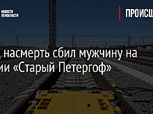 Поезд насмерть сбил мужчину на станции «Старый Петергоф»