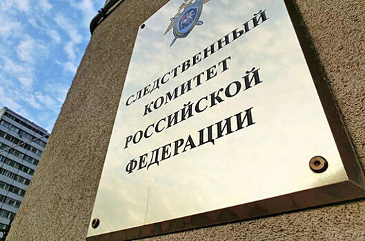 Следственный комитет России запустил на своем сайте проект о розыске пропавших детей