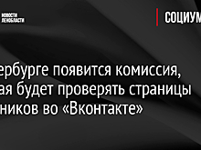 В Петербурге появится комиссия, которая будет проверять страницы чиновников во «Вконтакте»