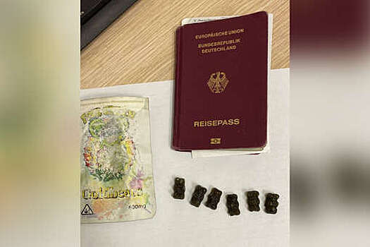 Прокуратура Петербурга обвинила гражданина ФРГ в контрабанде наркотиков