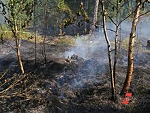 В Курганской области ожидается чрезвычайная пожарная опасность