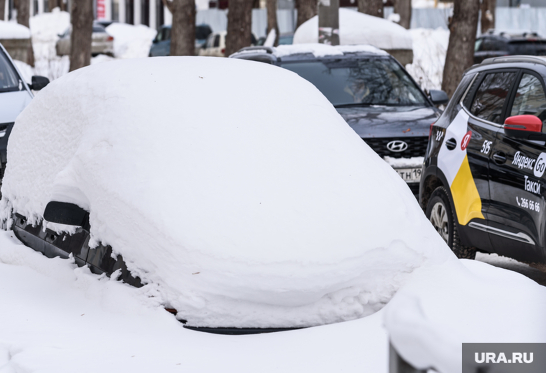 Зимний вечер в деревне. Ночной зимний лес. Ночной зимний лес. Зима. Зима ночь.