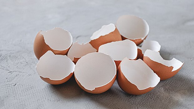 Зачем опытные хозяйки применяют в быту скорлупу