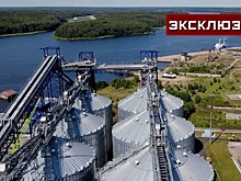 Новый путь через Балтику: чем важен запуск зернового терминала в Высоцке