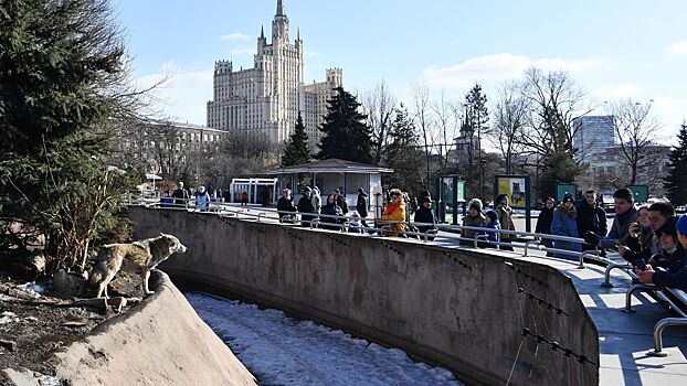 Генеральный директор Московского зоопарка назвала самого популярного обитателя
