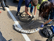 Житель ЕАО спрятал марихуану в запасном колесе автомобиля