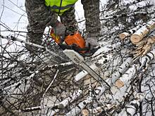 В Петербурге мужчина случайно отпилил себе ногу