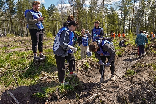 В Свердловской области высадили «Сад памяти» на месте вырубленного леса